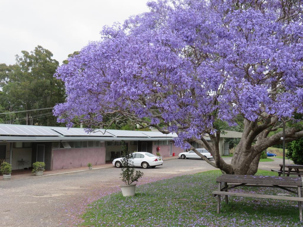 Ecotel Narooma North Narooma Esterno foto