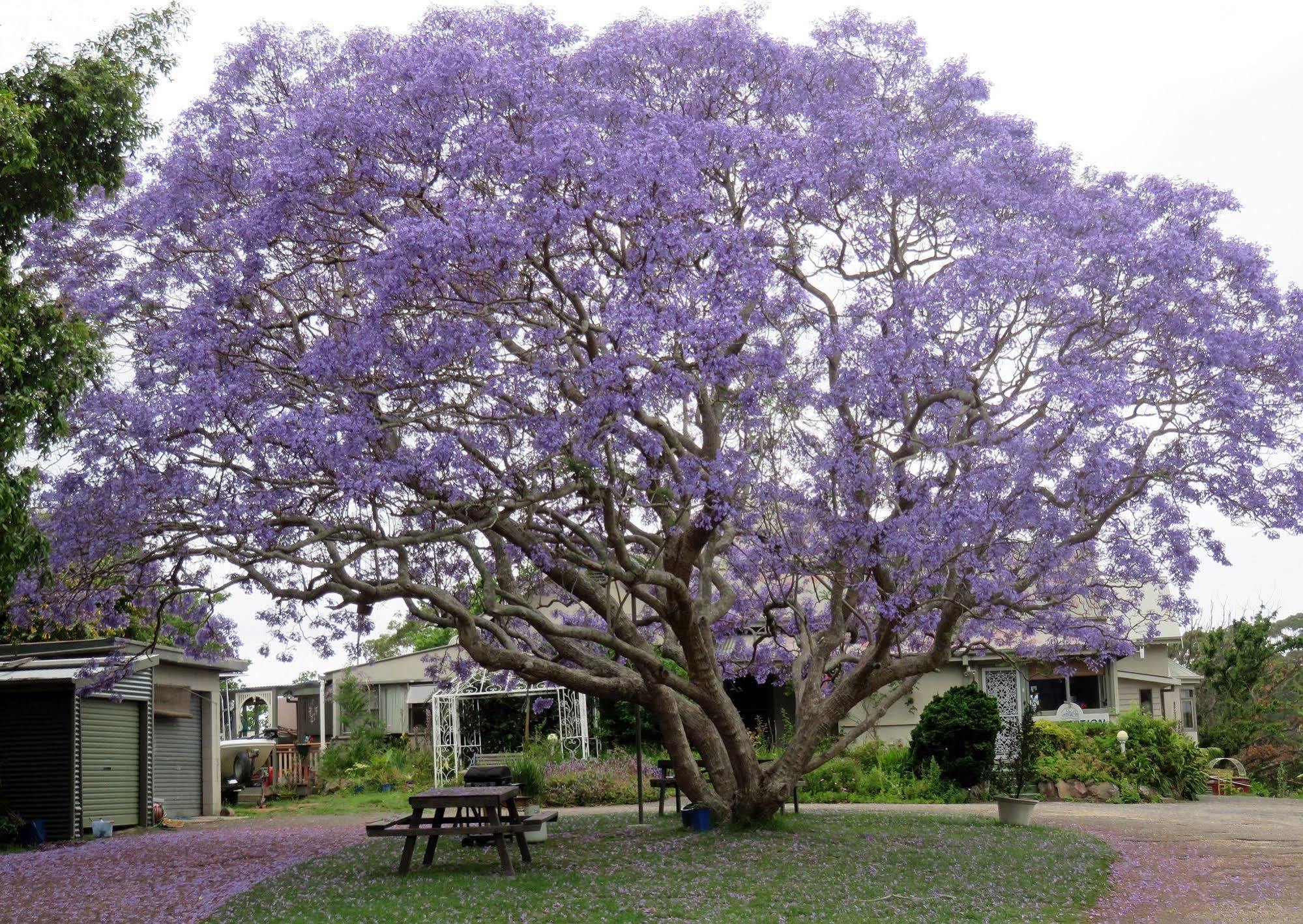 Ecotel Narooma North Narooma Esterno foto