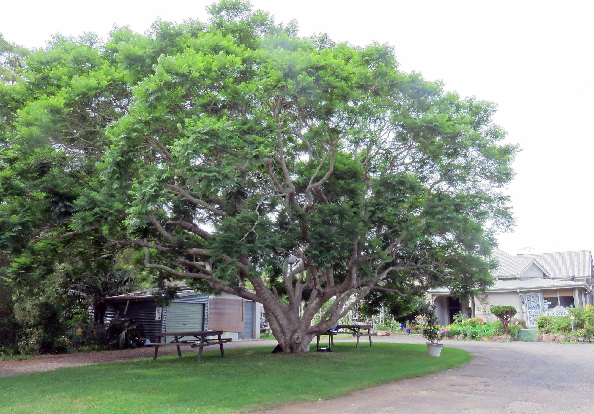 Ecotel Narooma North Narooma Esterno foto