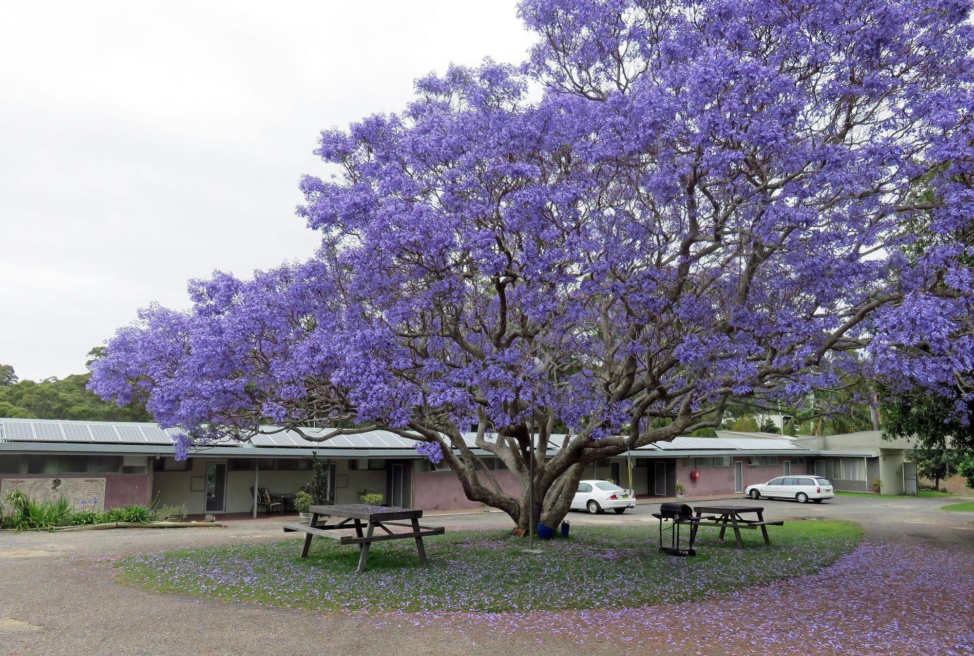 Ecotel Narooma North Narooma Esterno foto